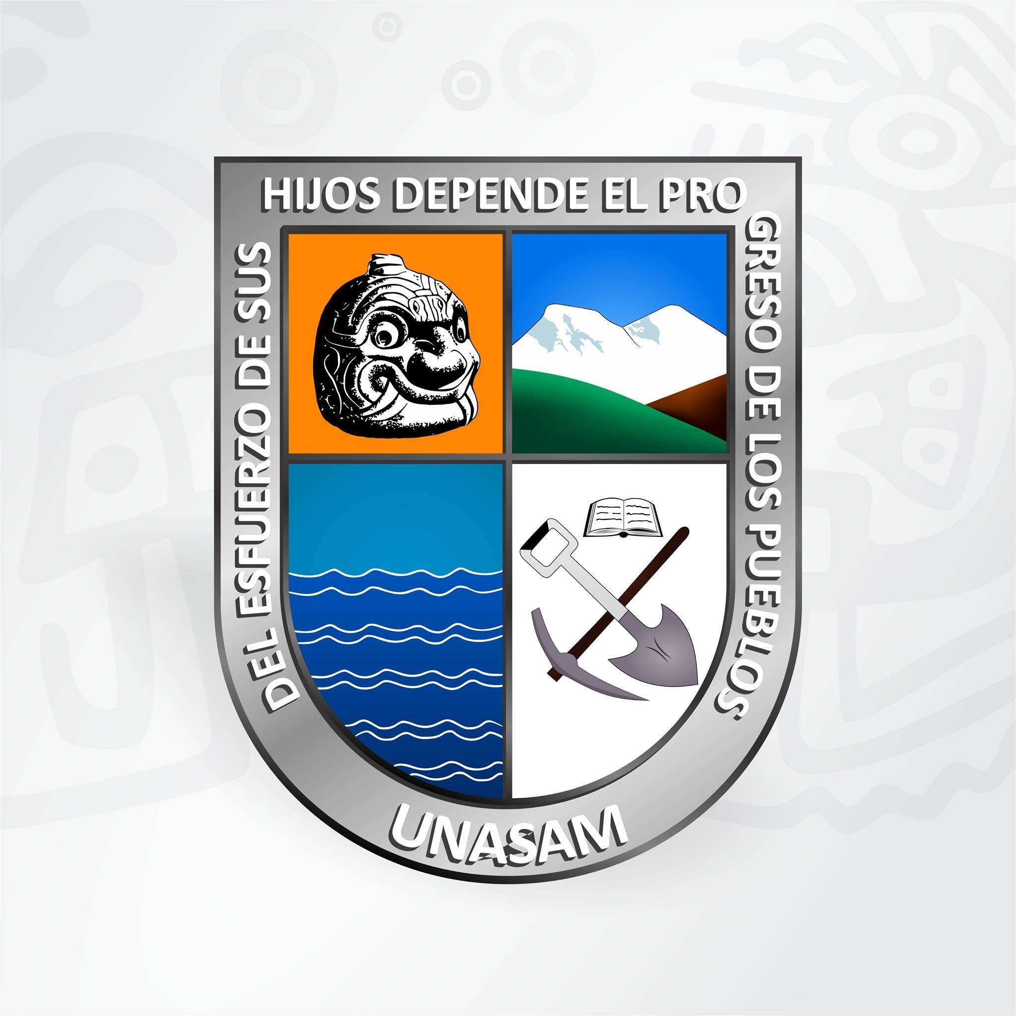 Logo UNASAM
